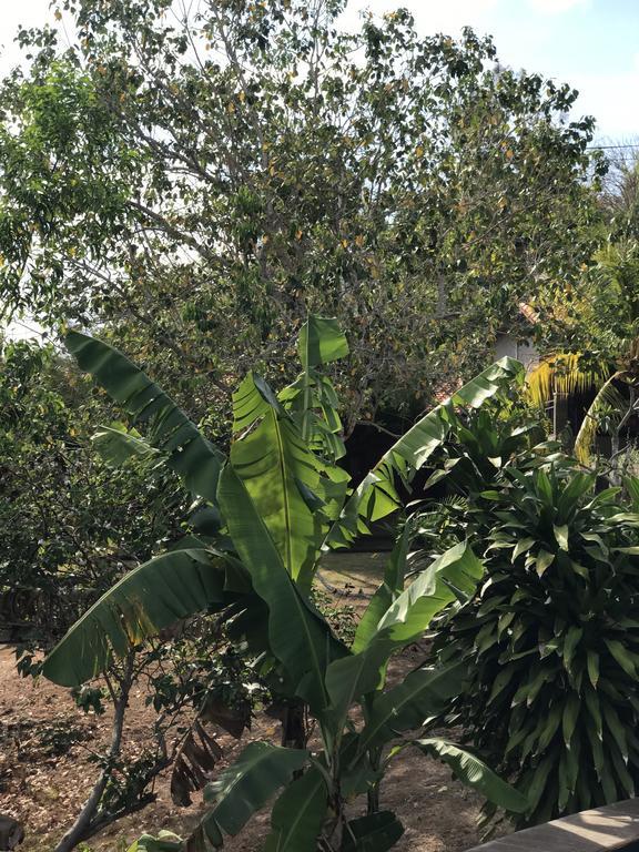 Pecatu 3D Homestay מראה חיצוני תמונה