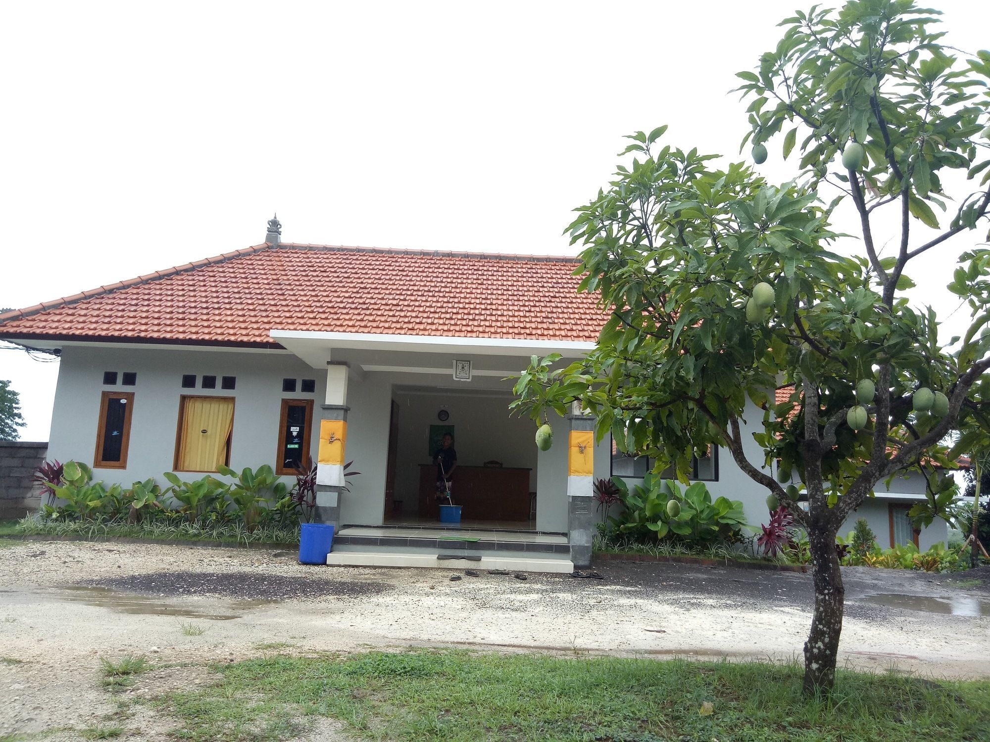 Pecatu 3D Homestay מראה חיצוני תמונה